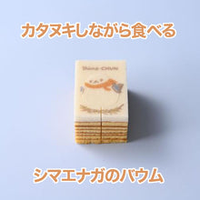 画像をギャラリービューアに読み込む, しまちゅんのカタヌキバウム【ミルク】