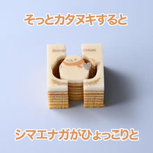 画像をギャラリービューアに読み込む, しまちゅんのカタヌキバウム【ミルク】